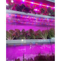 LED Plant Grow Strip Light, 5050 Waterproof Full Spectrum Red Blue 4:1 Growing Lamp Aquarium Greenhouse